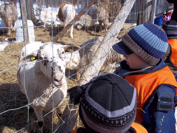 Garderie Coin DOiseaux, cabane a sucre
